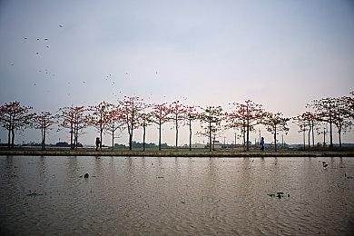 《勇者斗恶龙3 HD-2D 重制版》主角或将不再区分男女 仅用代称表示